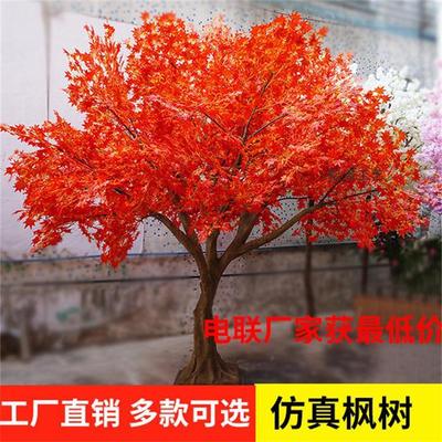 广州厂家批发家居年货日本红枫树 酒店装饰枫树植物 松涛工艺盆栽红枫