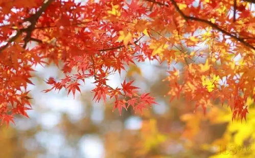 旅游 从镇江坐高铁便可抵达的8个绝美仙境 值得一去