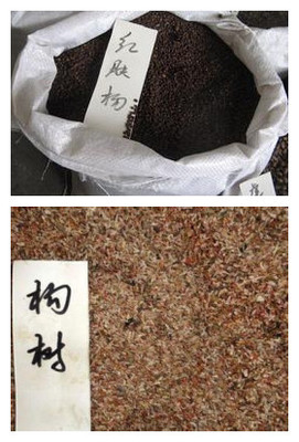 【赣州市日本红枫种子价格】价格,厂家,其他种子、种苗-搜了网