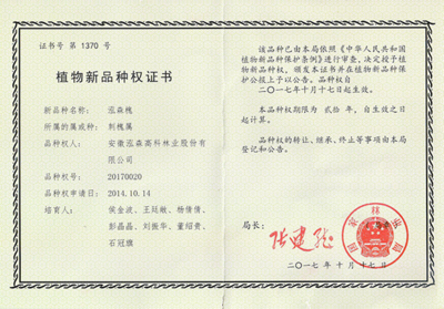 红枫,美国红枫,日本红枫-优秀造林绿化树种推荐--泓森槐-美国红枫十月光辉|夕阳红|红冠|秋火焰|日本红枫狮子头、三河八房、红三河批发【华石红枫 tel:4006168511】-www.shmmw.com